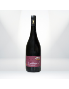 Intemporel  - Domaine de Vigier