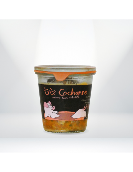 Terrine - Très cochonne